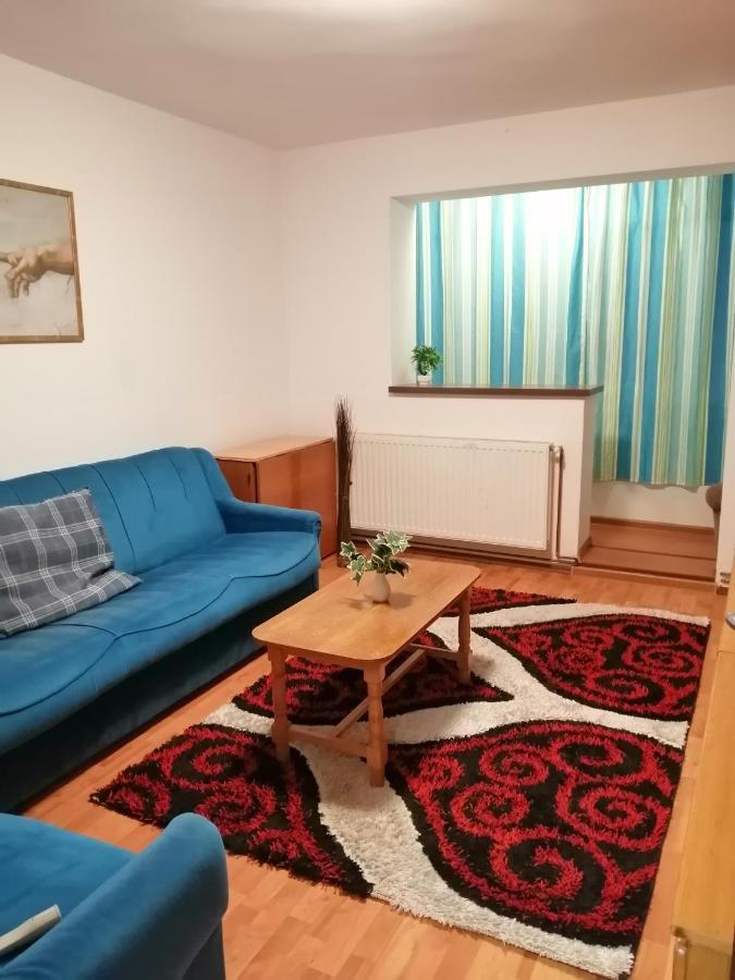 Apartment Valea Azugii Азуга Экстерьер фото